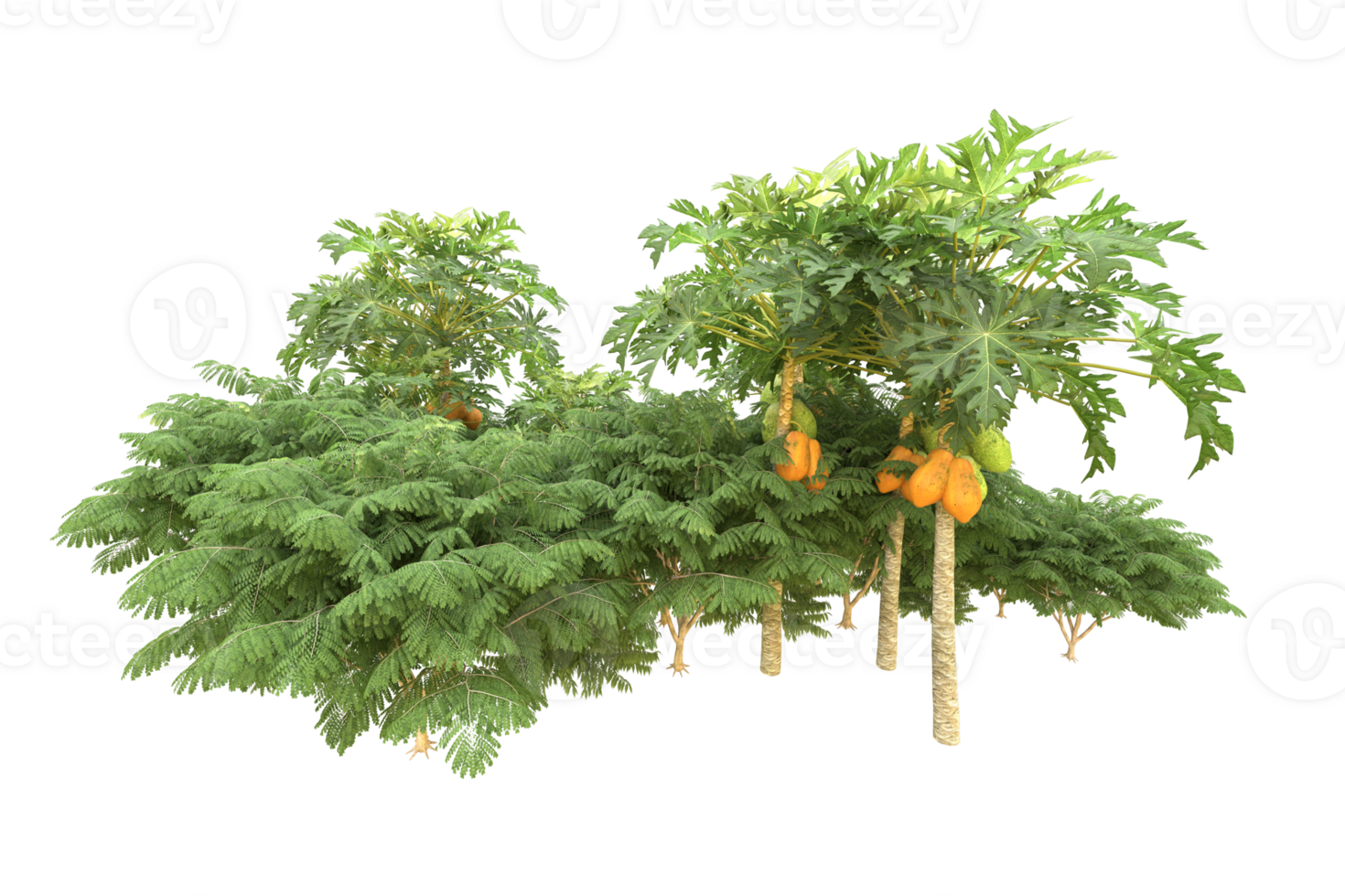 Realistic forest isolated on transparent background. 3d rendering - illustration png