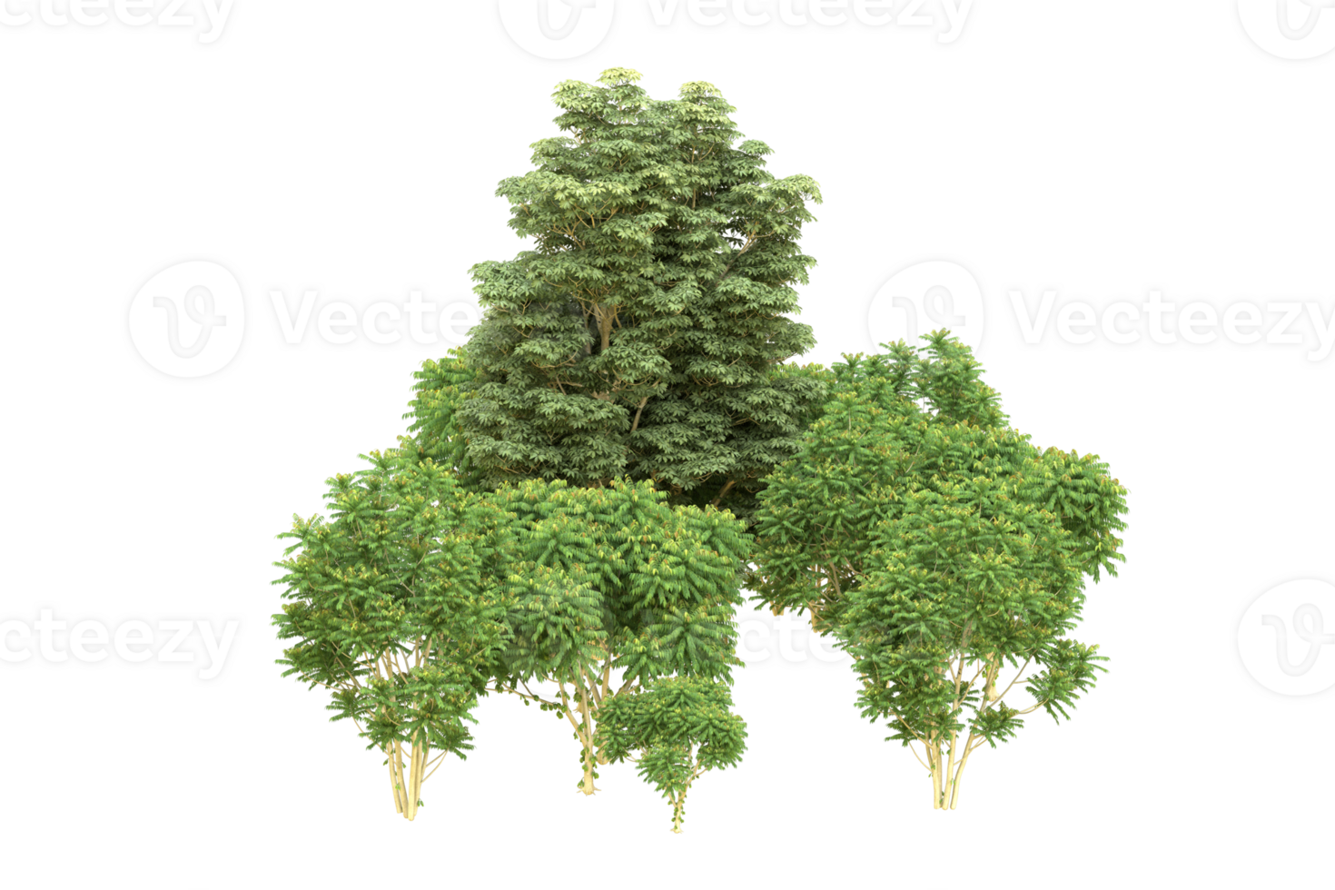 Realistic forest isolated on transparent background. 3d rendering - illustration png