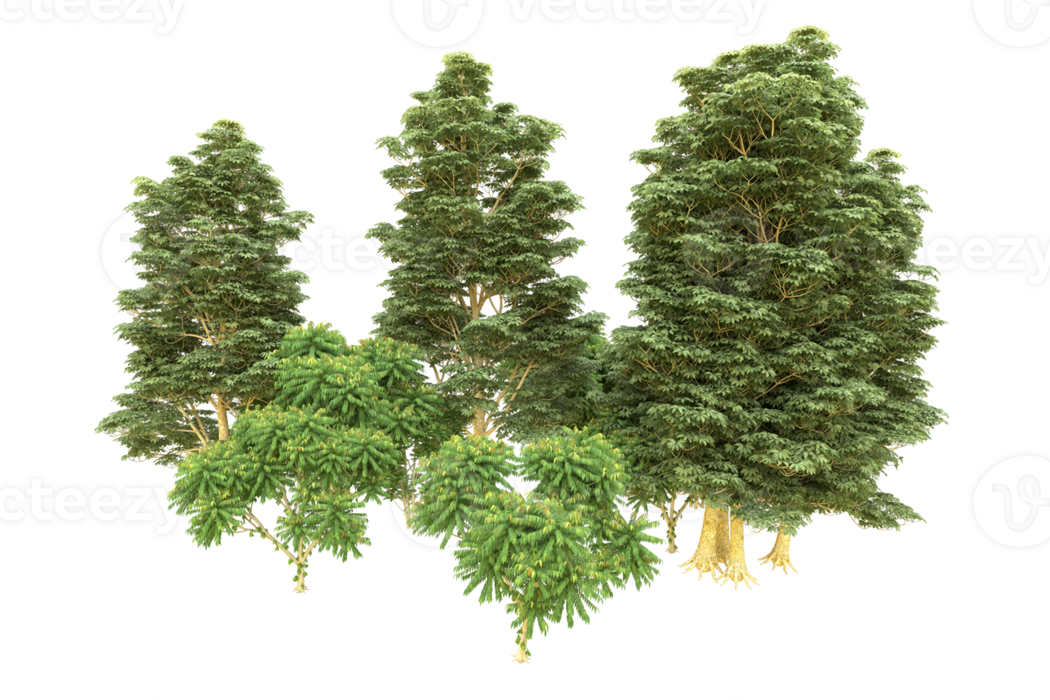 Realistic forest isolated on transparent background. 3d rendering - illustration png