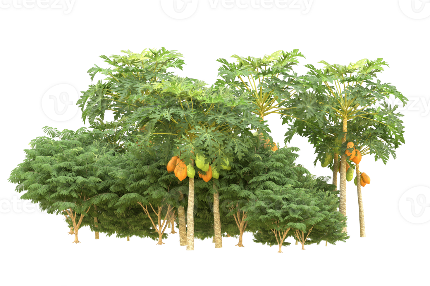 Realistic forest isolated on transparent background. 3d rendering - illustration png