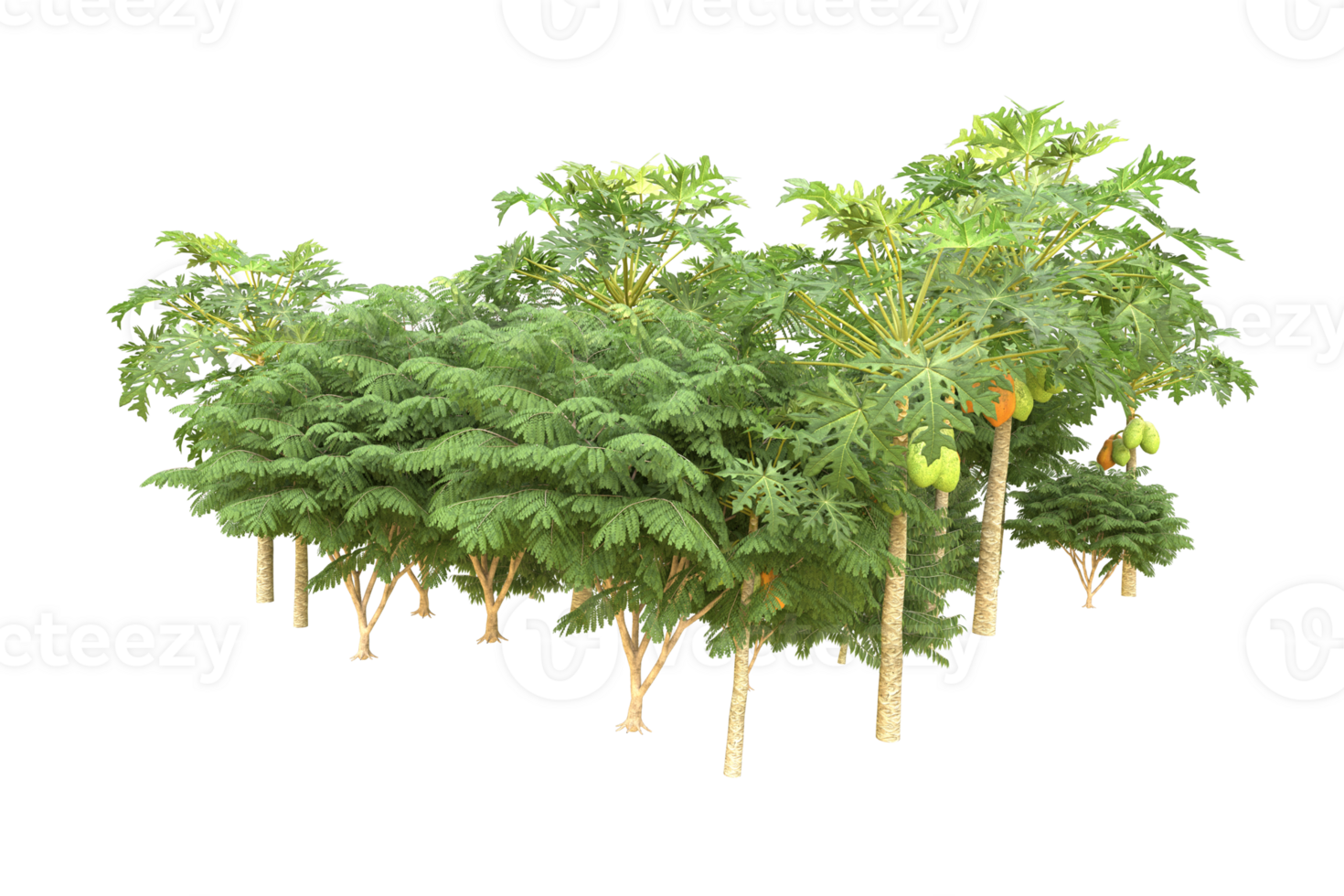 Realistic forest isolated on transparent background. 3d rendering - illustration png