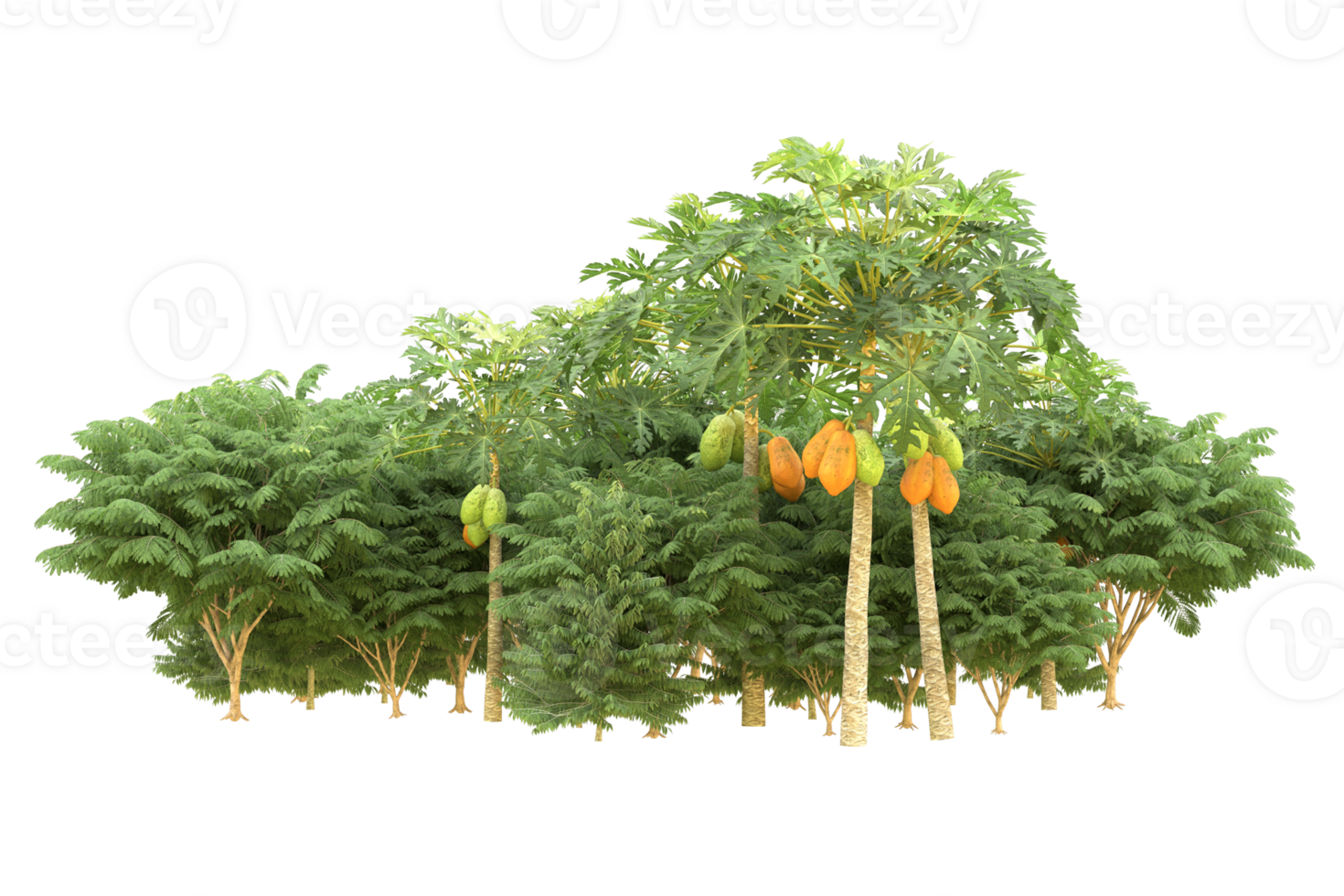 Realistic forest isolated on transparent background. 3d rendering - illustration png