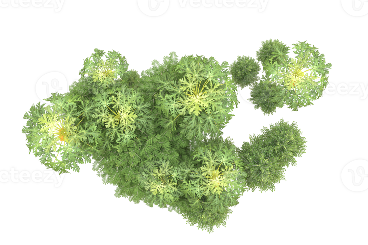 Realistic forest isolated on transparent background. 3d rendering - illustration png