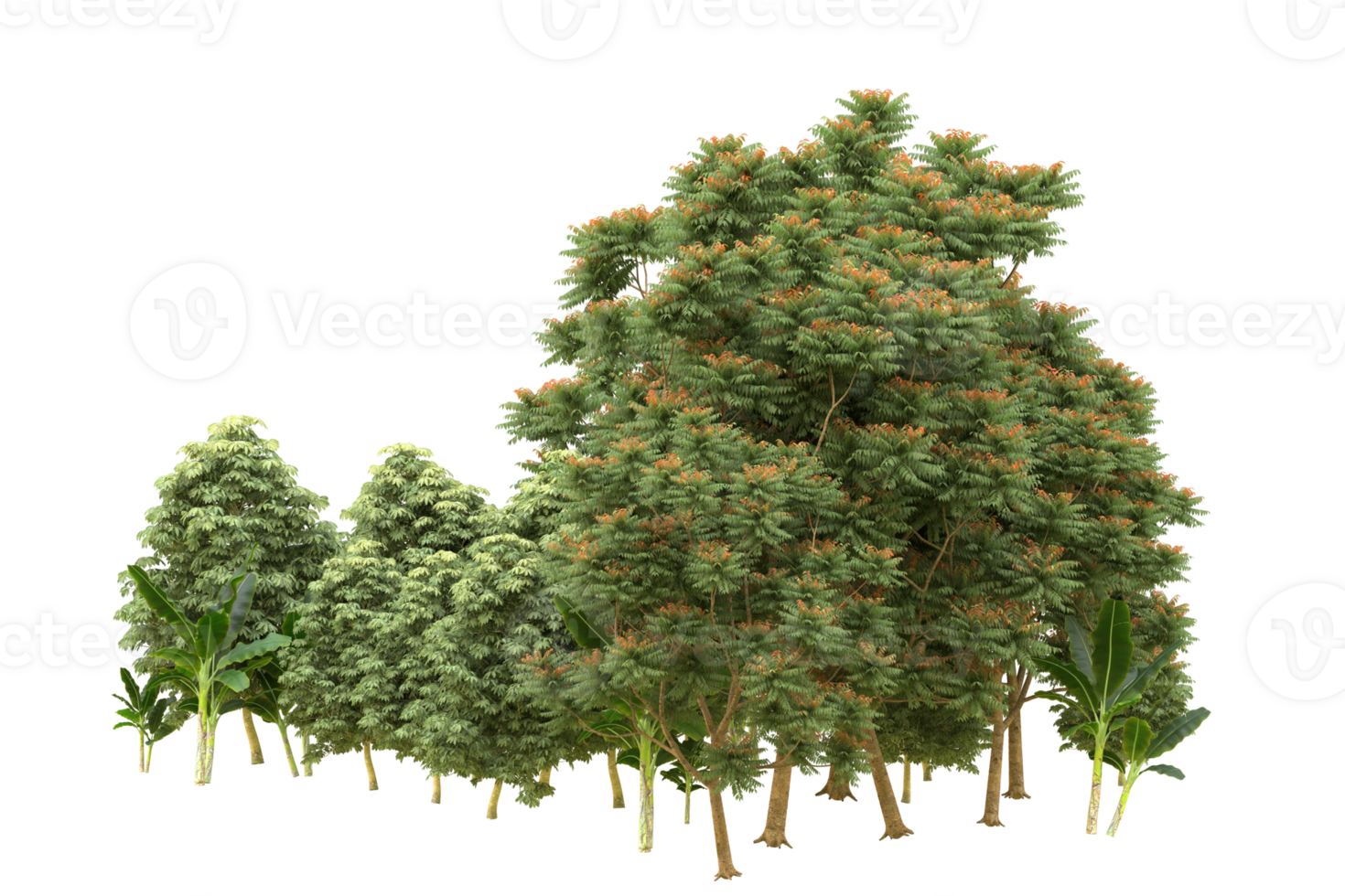 Realistic forest isolated on transparent background. 3d rendering - illustration png