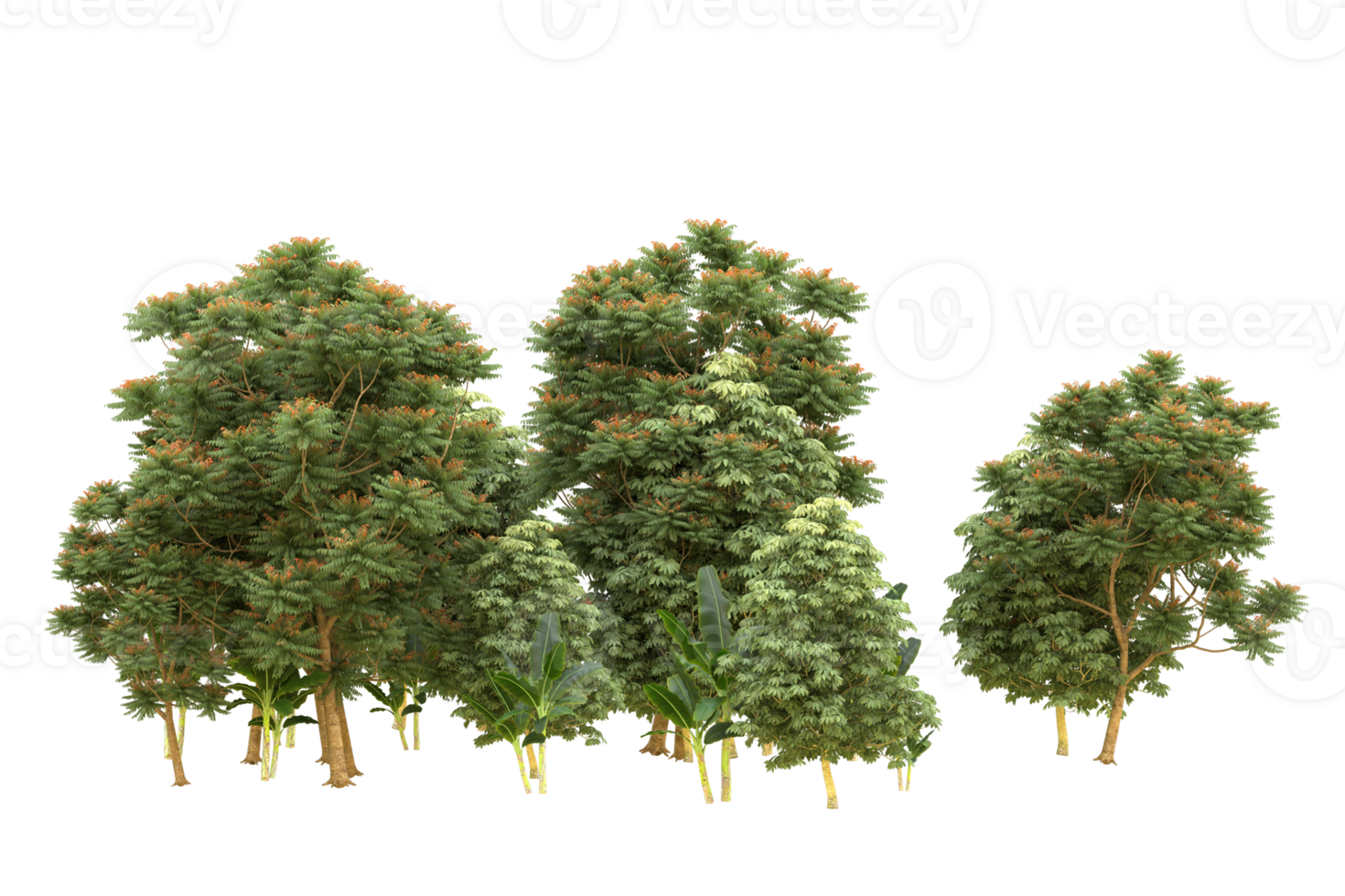 Realistic forest isolated on transparent background. 3d rendering - illustration png