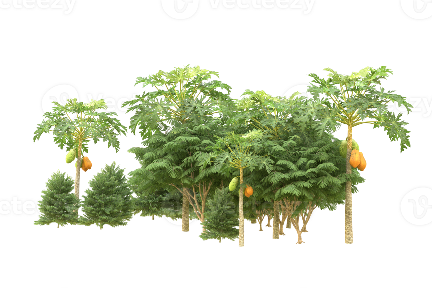 Realistic forest isolated on transparent background. 3d rendering - illustration png