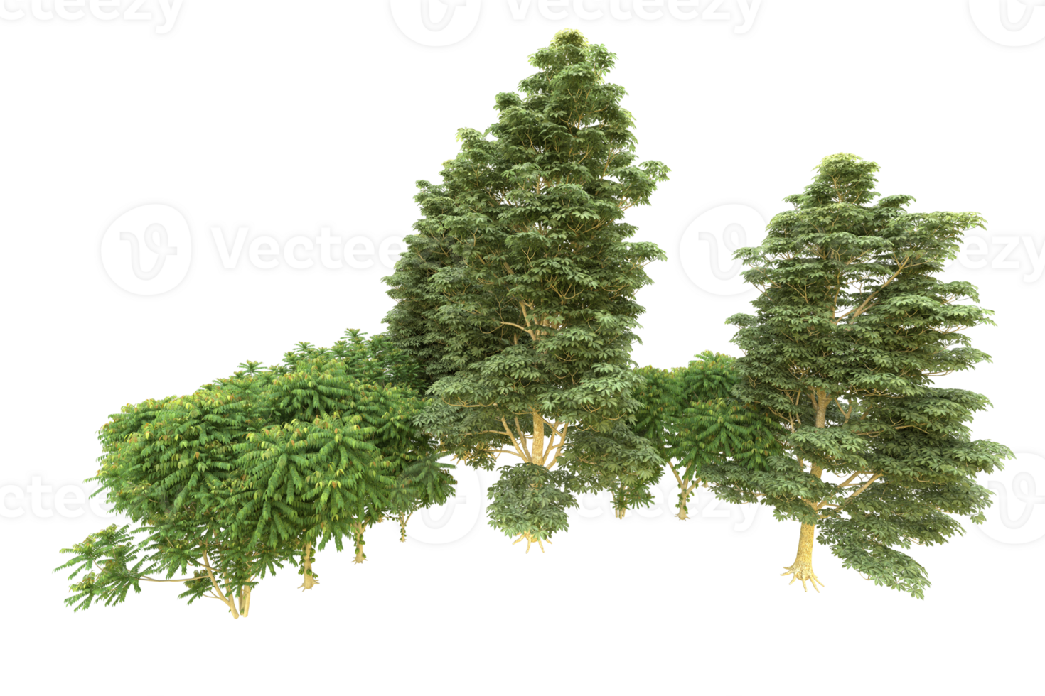 Realistic forest isolated on transparent background. 3d rendering - illustration png