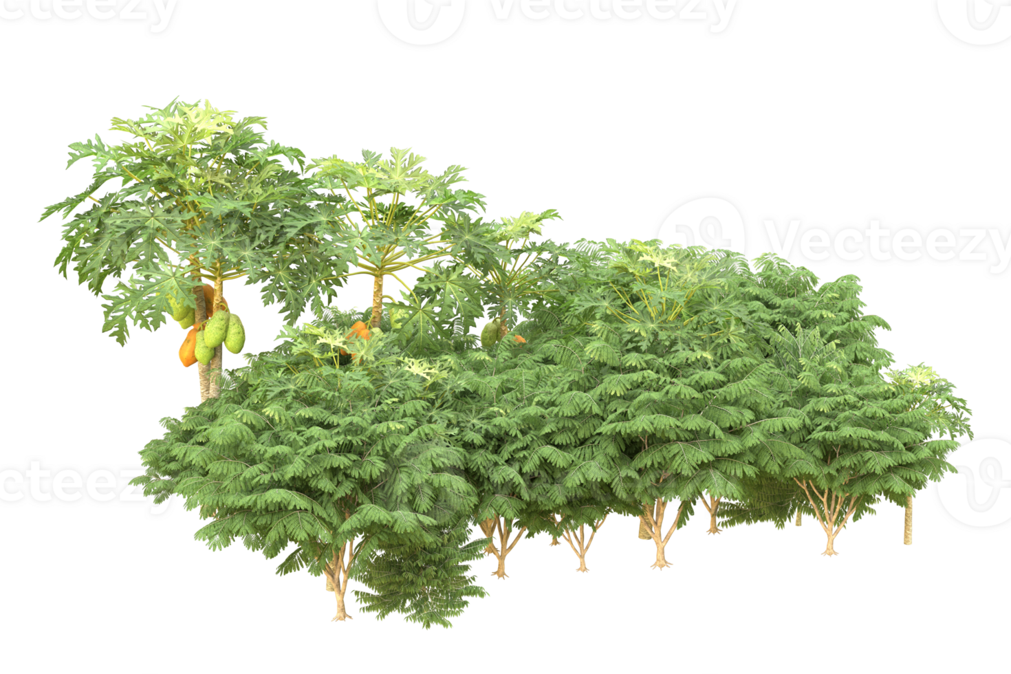 Realistic forest isolated on transparent background. 3d rendering - illustration png