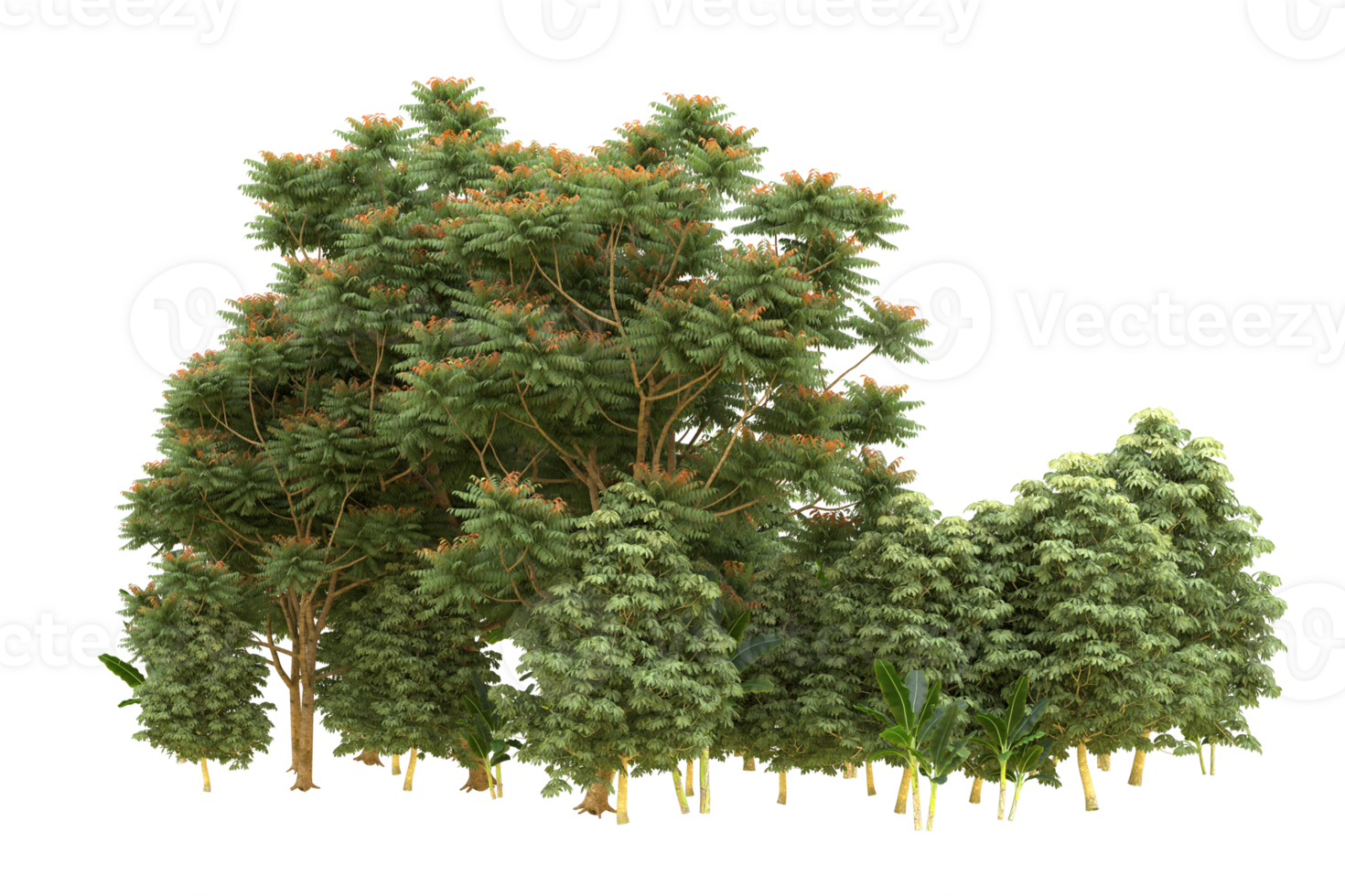 Realistic forest isolated on transparent background. 3d rendering - illustration png