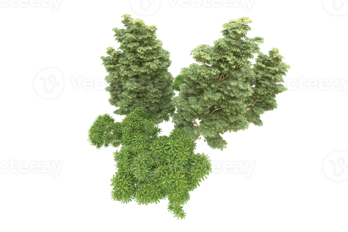 Realistic forest isolated on transparent background. 3d rendering - illustration png