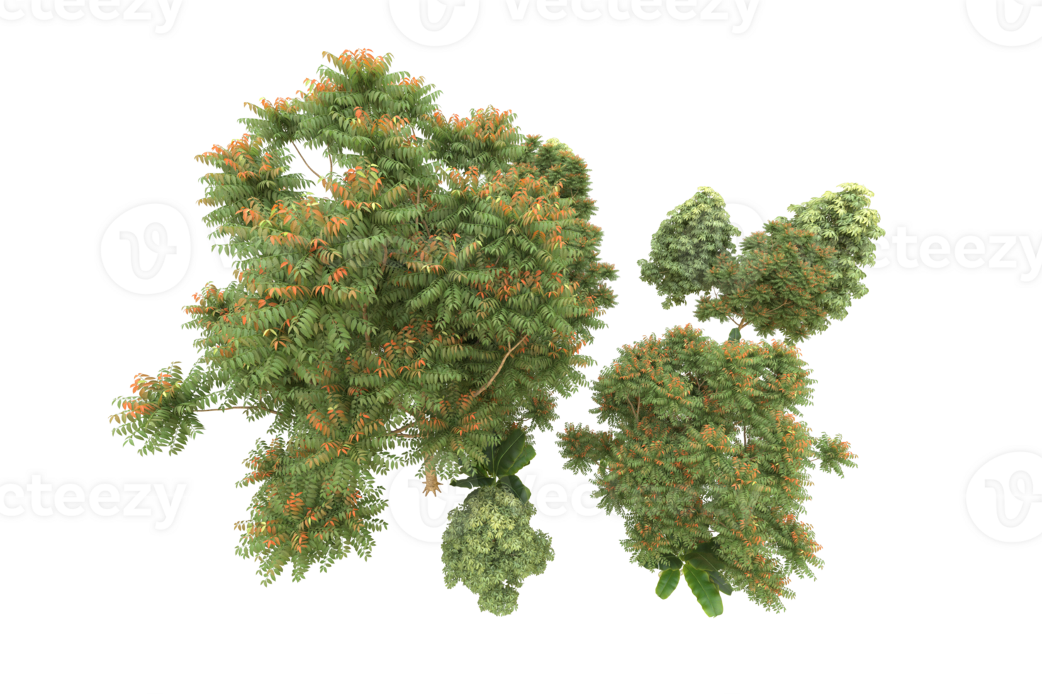Realistic forest isolated on transparent background. 3d rendering - illustration png