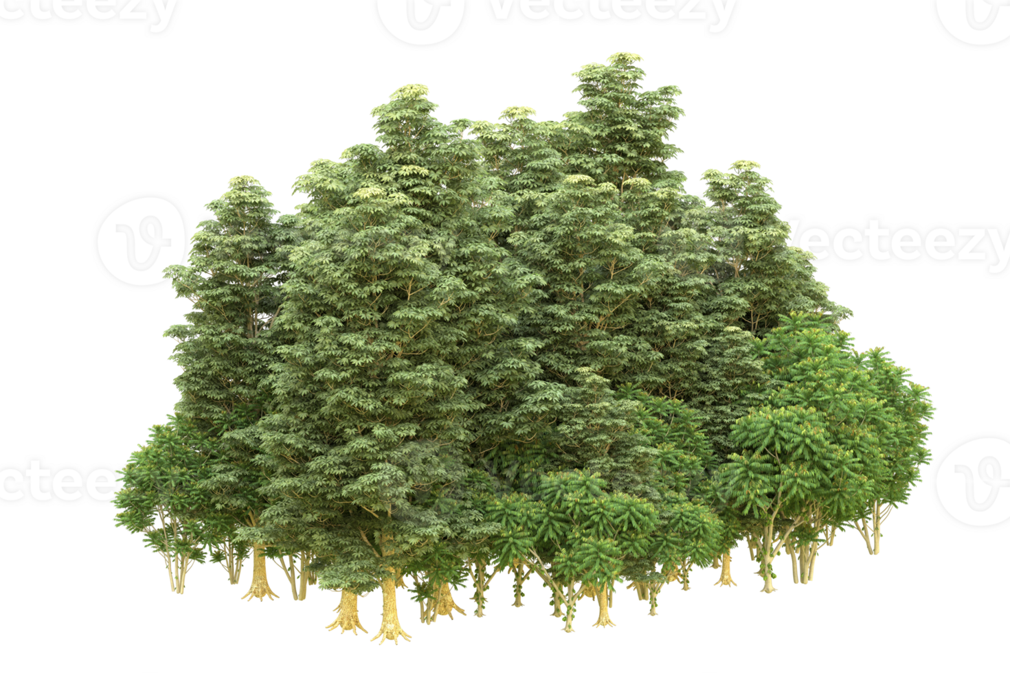 Realistic forest isolated on transparent background. 3d rendering - illustration png