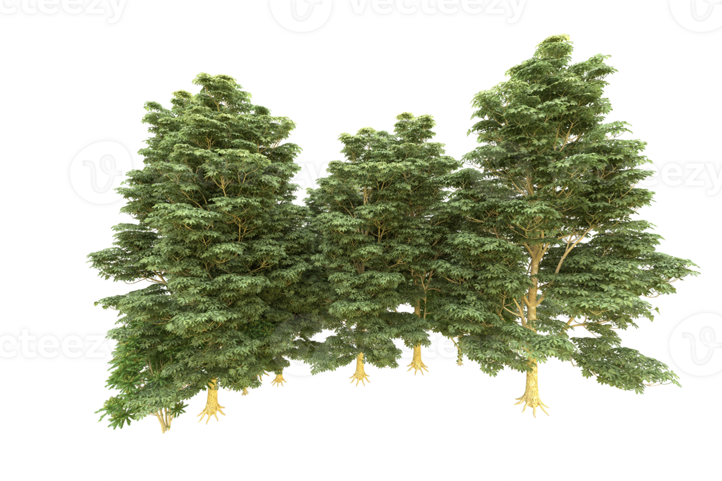 Realistic forest isolated on transparent background. 3d rendering - illustration png