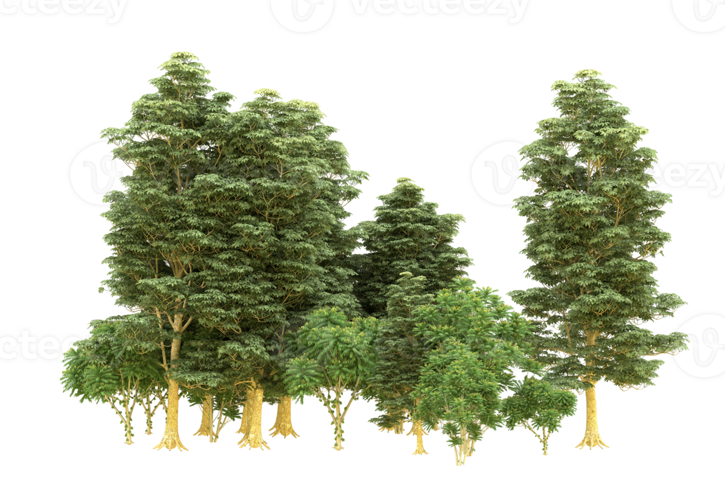 Realistic forest isolated on transparent background. 3d rendering - illustration png