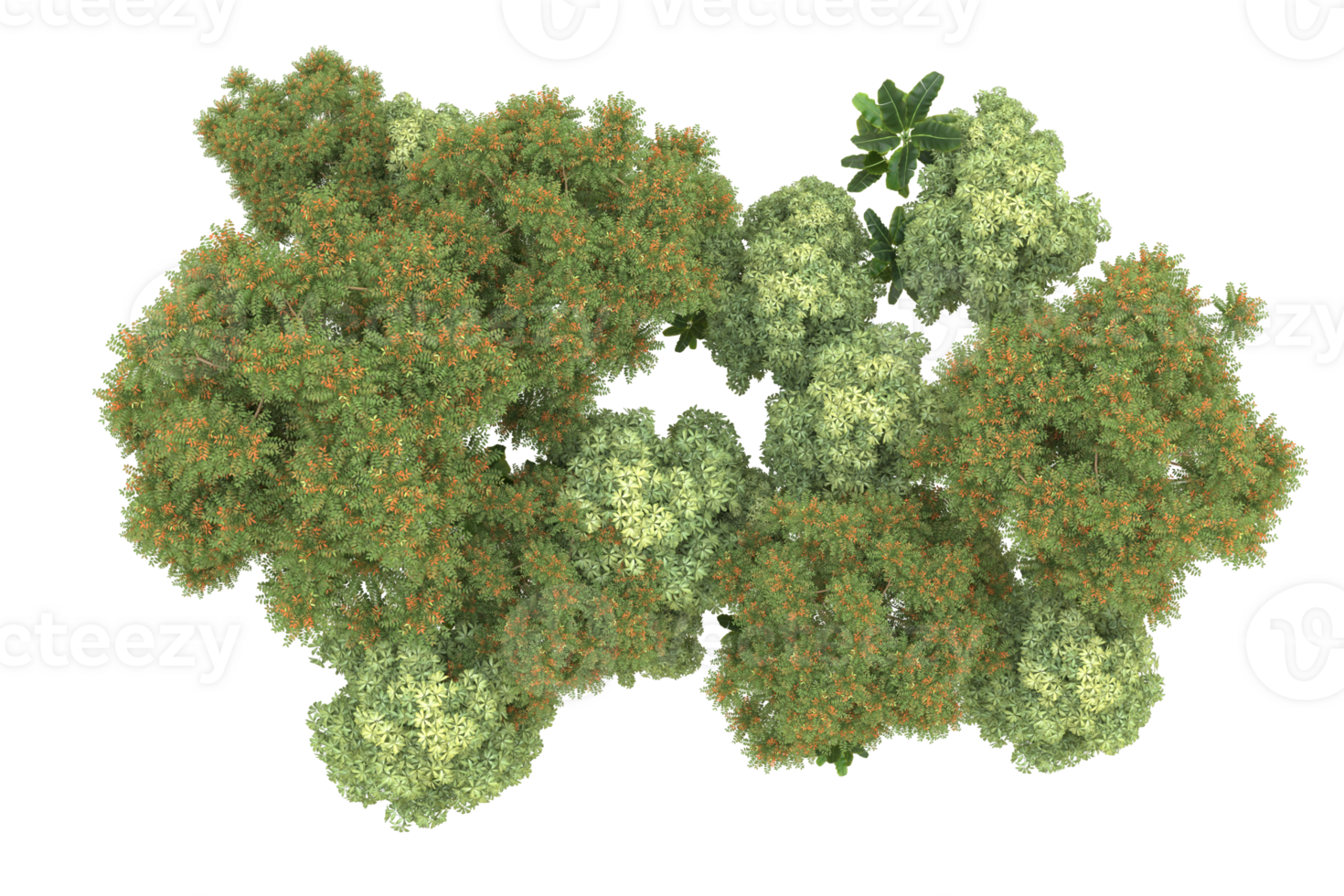 Realistic forest isolated on transparent background. 3d rendering - illustration png