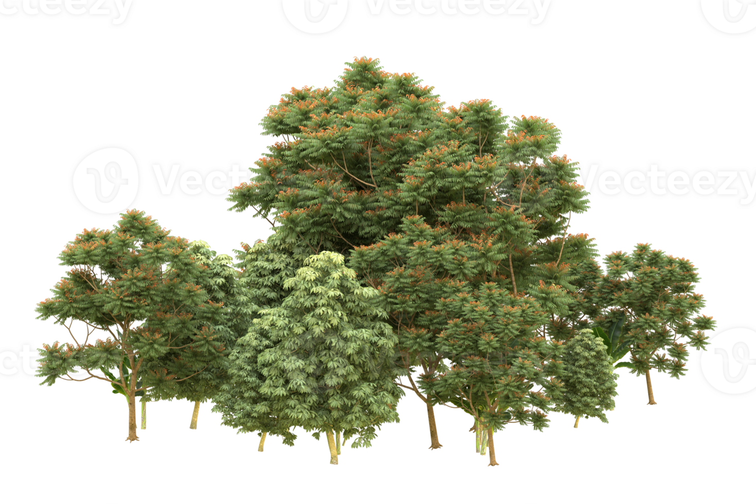 Realistic forest isolated on transparent background. 3d rendering - illustration png