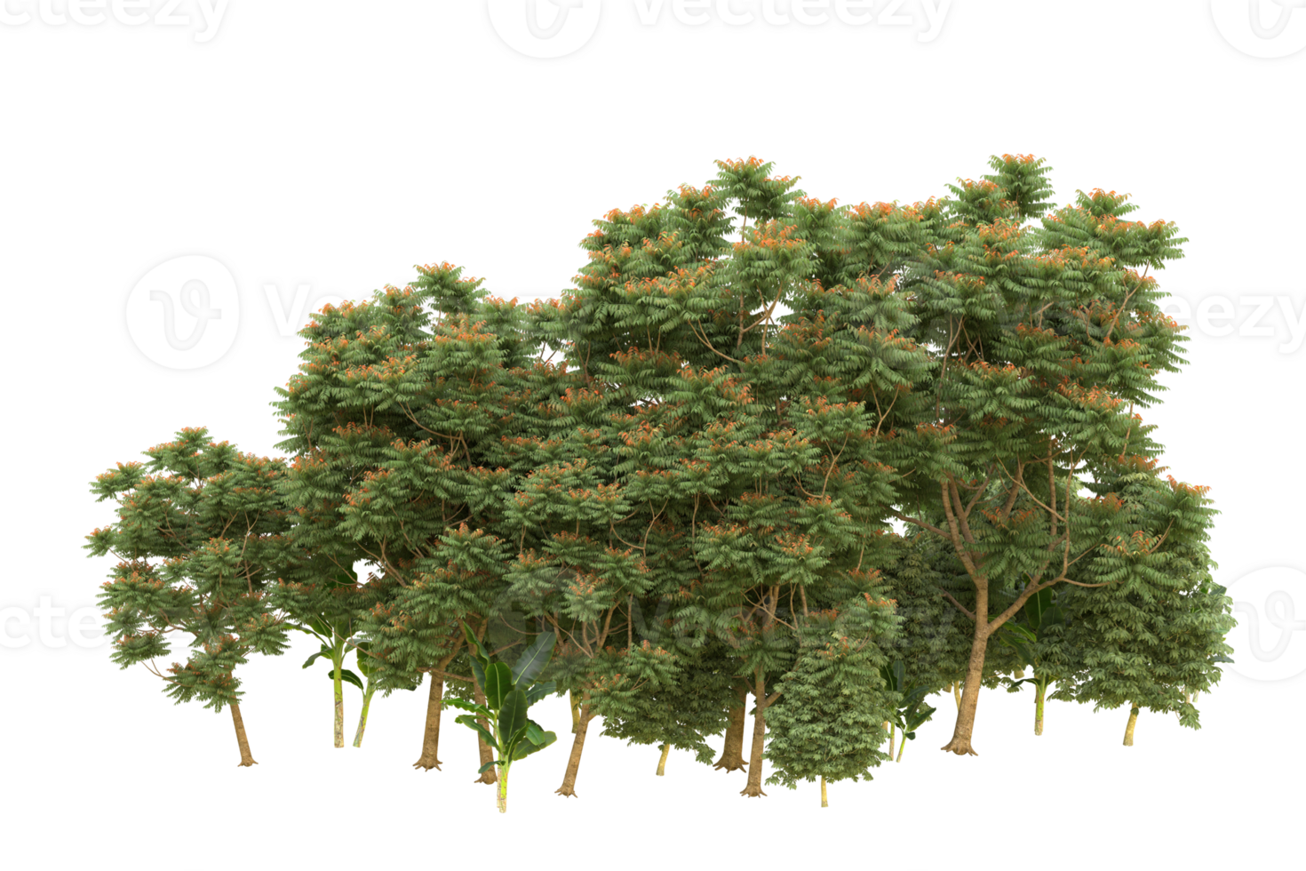 Realistic forest isolated on transparent background. 3d rendering - illustration png