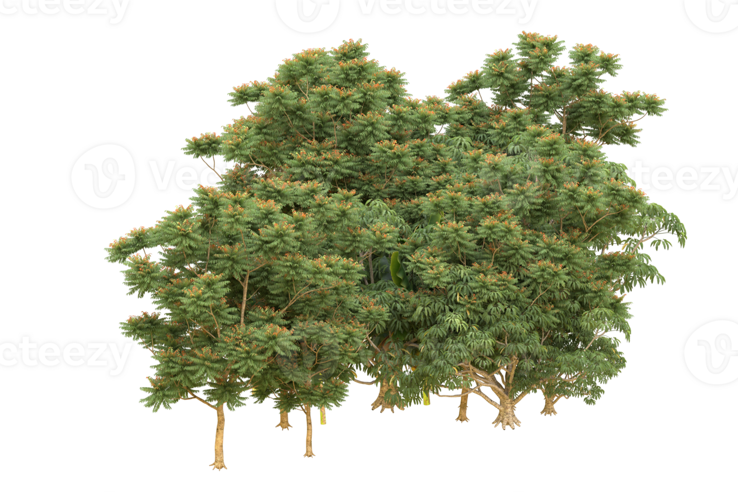 Realistic forest isolated on transparent background. 3d rendering - illustration png