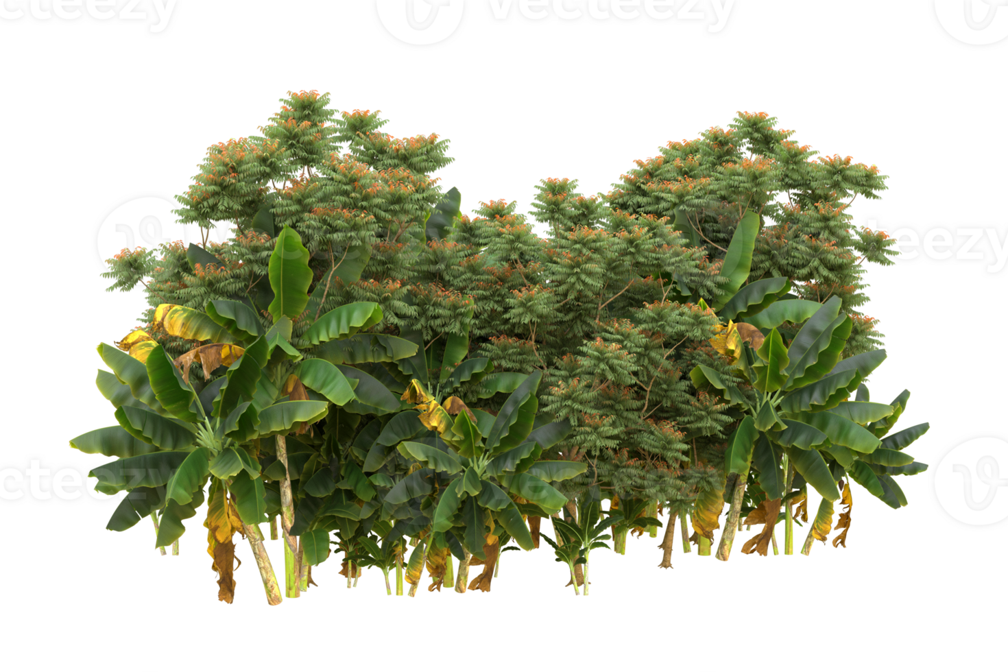 Realistic forest isolated on transparent background. 3d rendering - illustration png