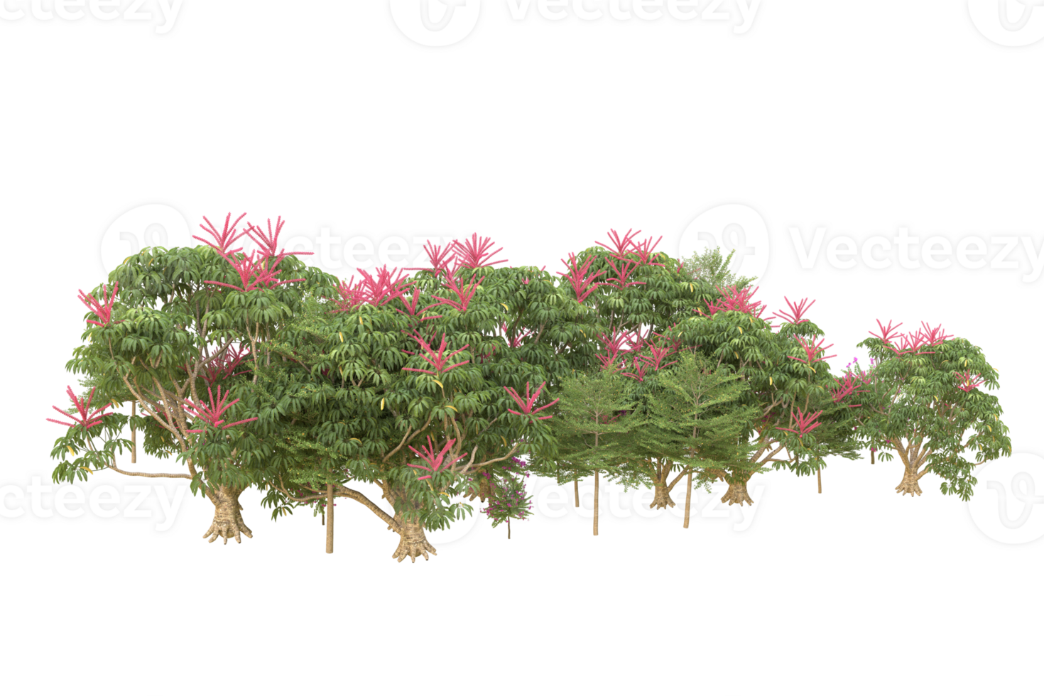 Realistic forest isolated on transparent background. 3d rendering - illustration png