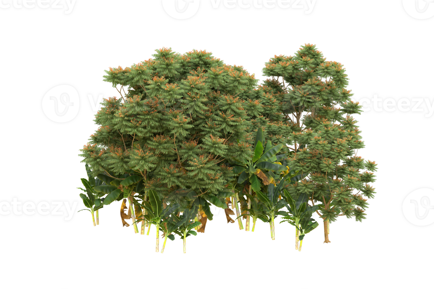 Realistic forest isolated on transparent background. 3d rendering - illustration png