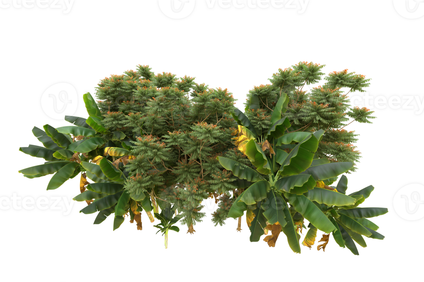 Realistic forest isolated on transparent background. 3d rendering - illustration png
