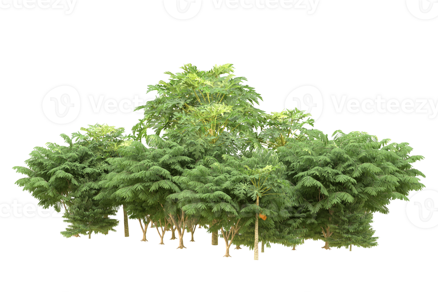 Realistic forest isolated on transparent background. 3d rendering - illustration png