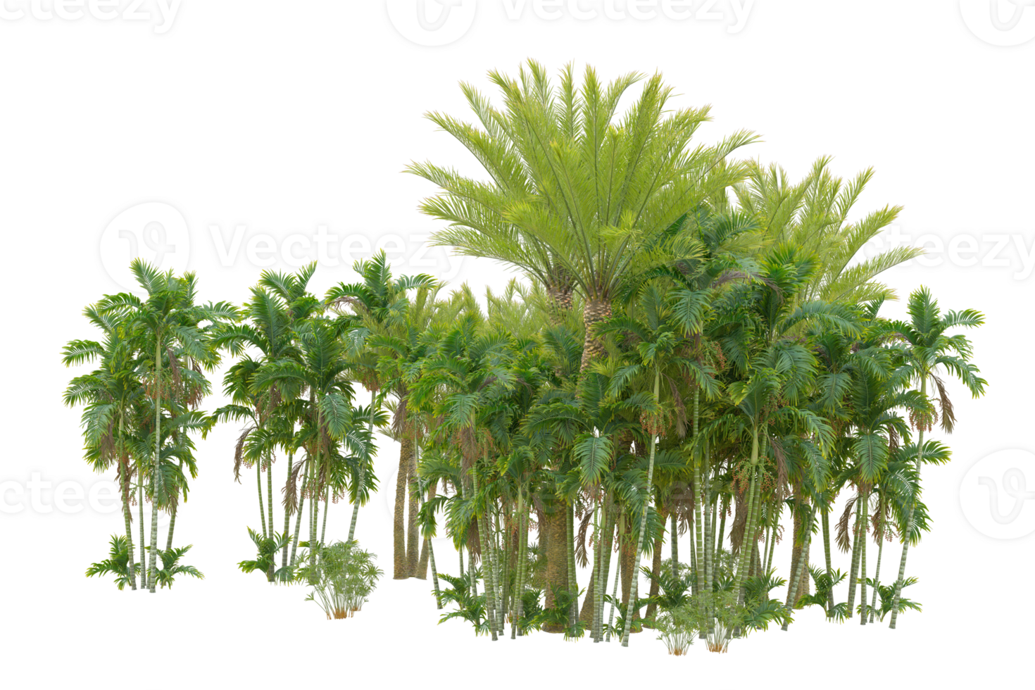 Realistic forest isolated on transparent background. 3d rendering - illustration png