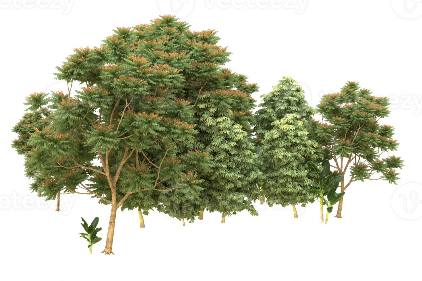 Realistic forest isolated on transparent background. 3d rendering - illustration png