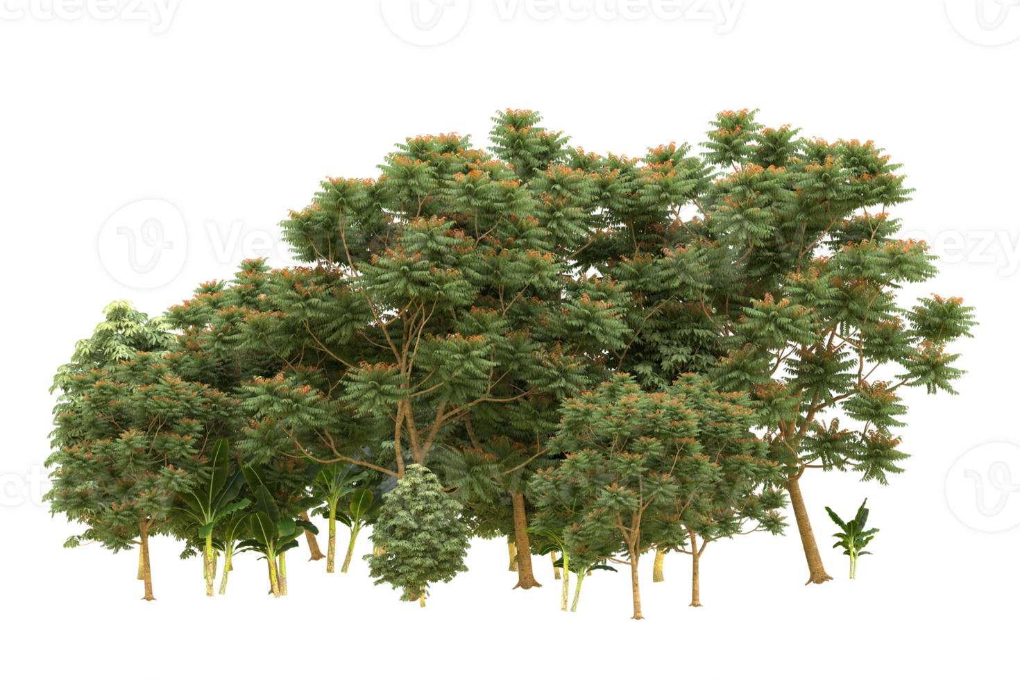 Realistic forest isolated on transparent background. 3d rendering - illustration png