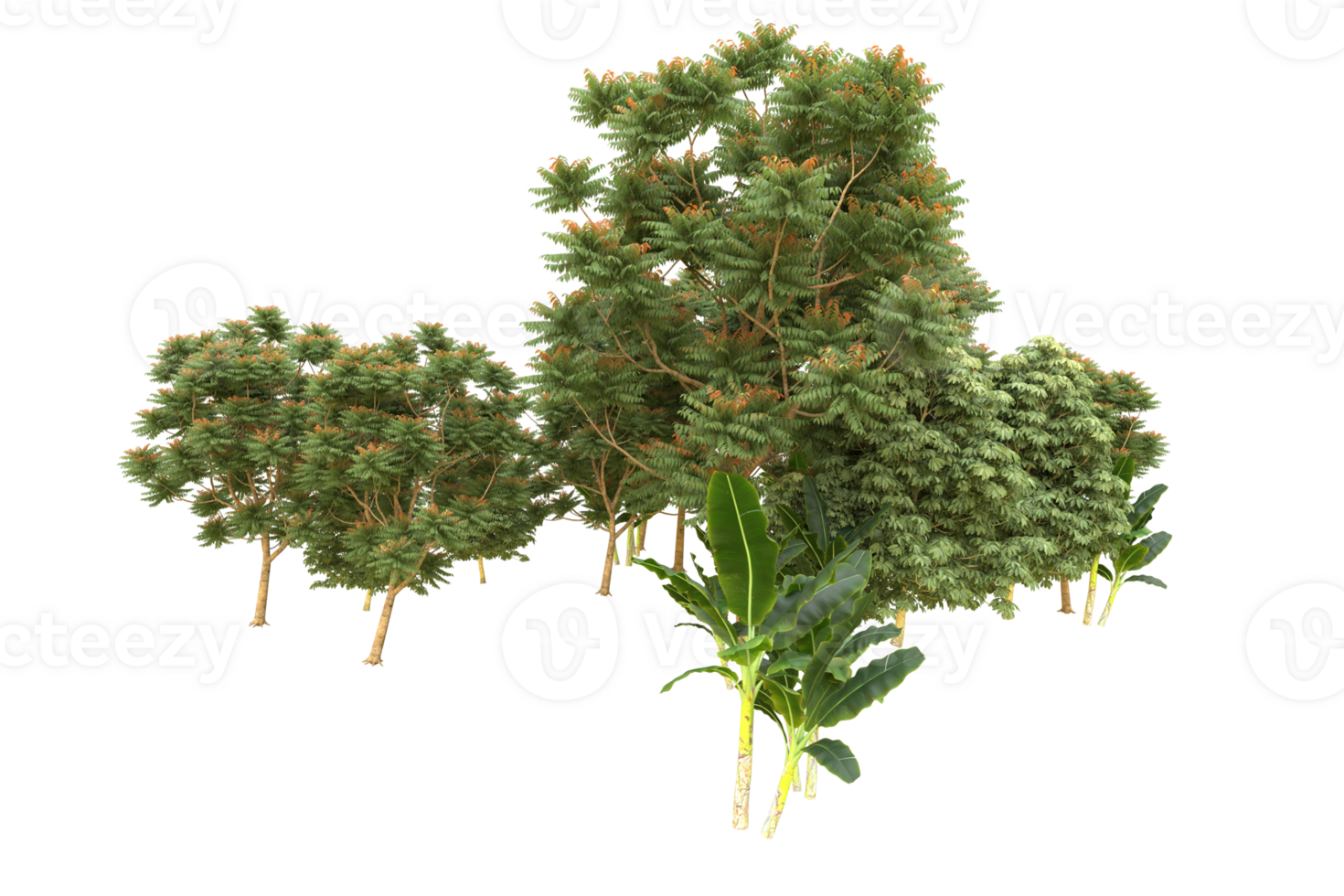Realistic forest isolated on transparent background. 3d rendering - illustration png