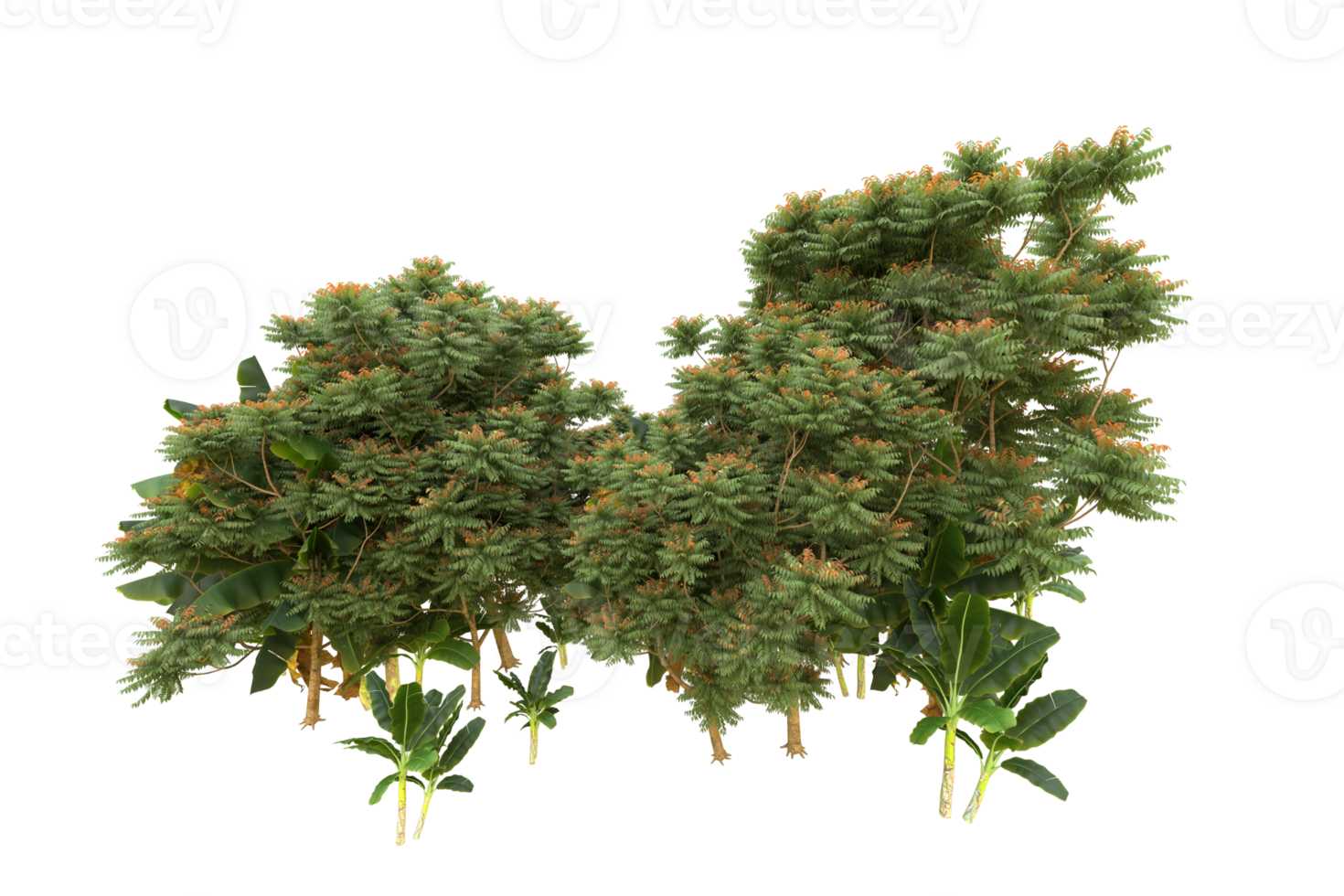 Realistic forest isolated on transparent background. 3d rendering - illustration png
