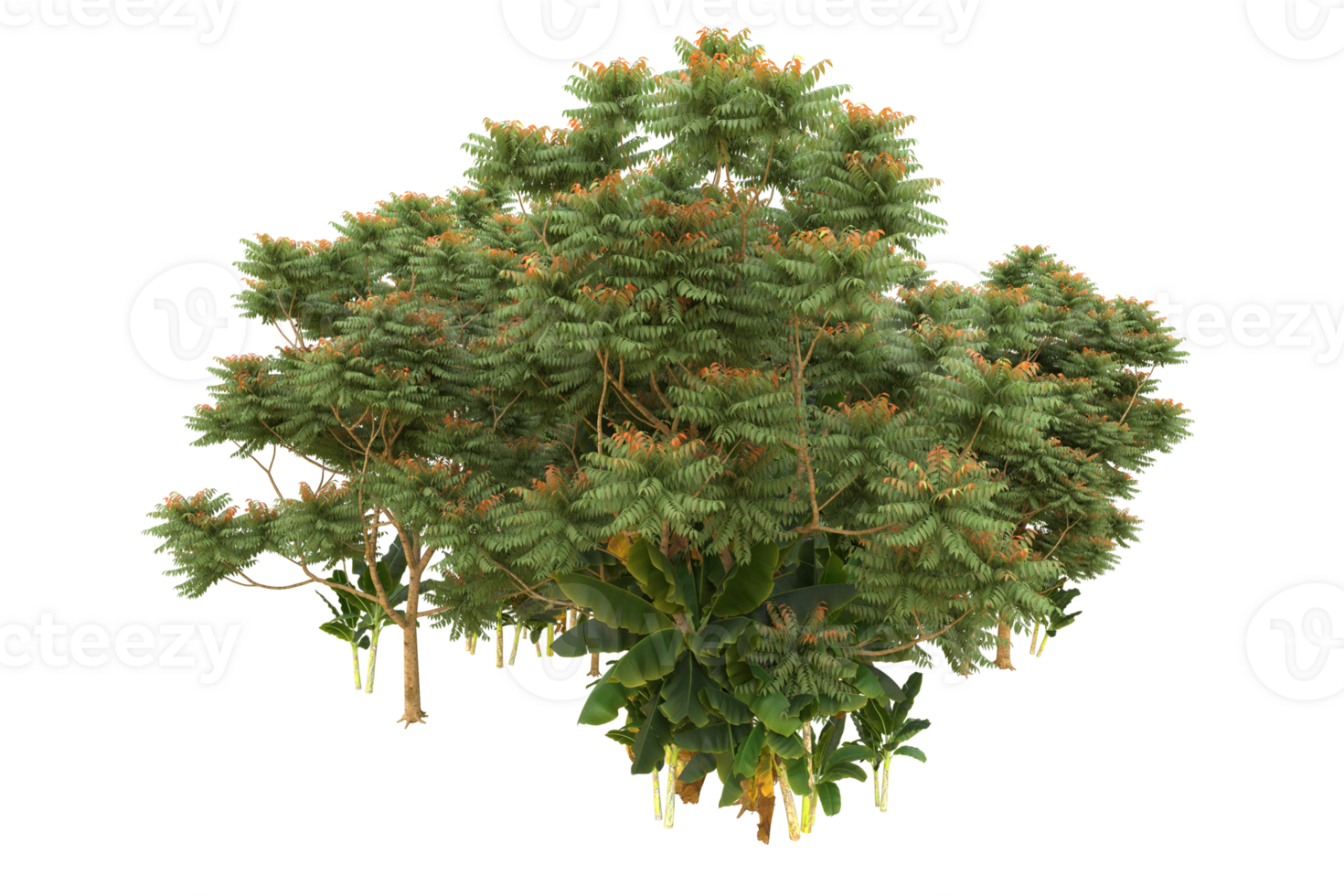 Realistic forest isolated on transparent background. 3d rendering - illustration png