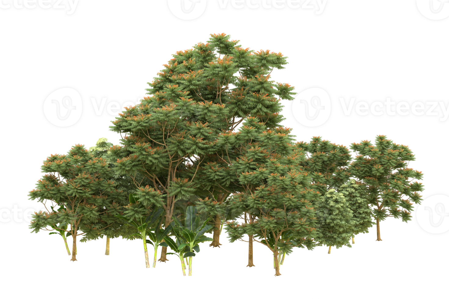 Realistic forest isolated on transparent background. 3d rendering - illustration png