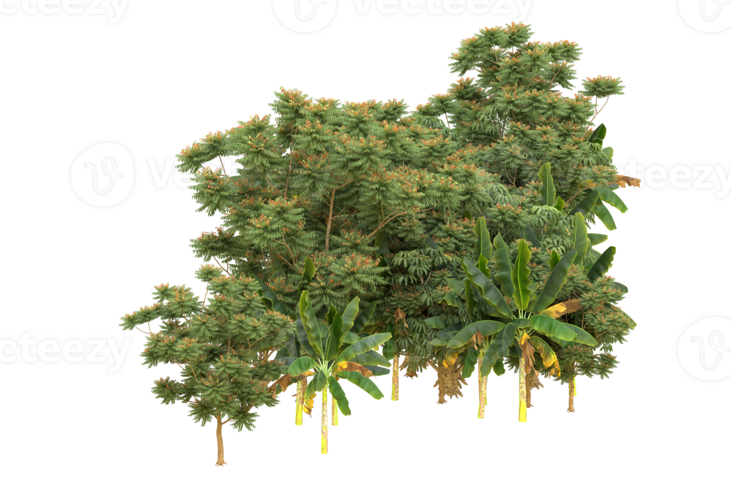Realistic forest isolated on transparent background. 3d rendering - illustration png