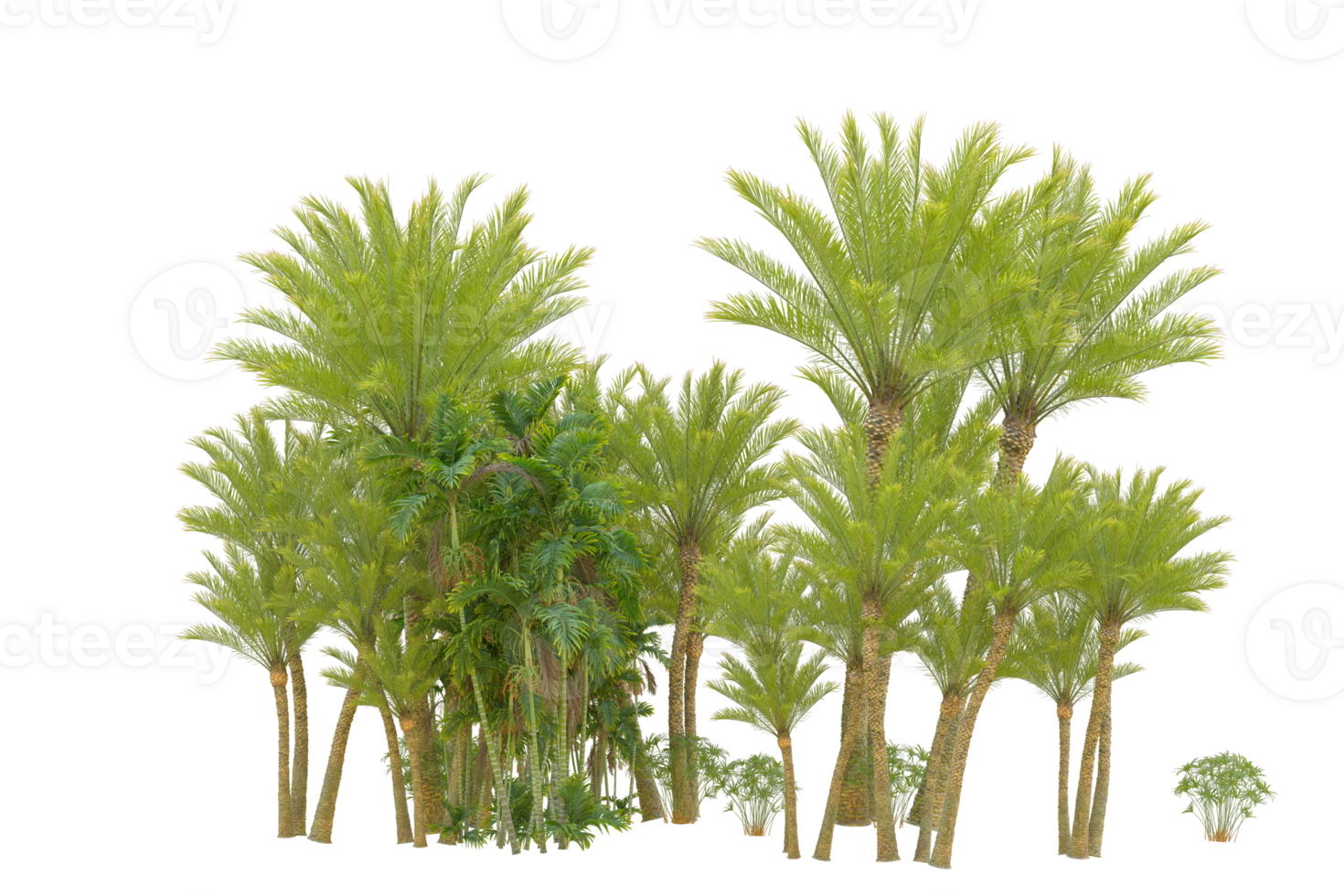 Realistic forest isolated on transparent background. 3d rendering - illustration png
