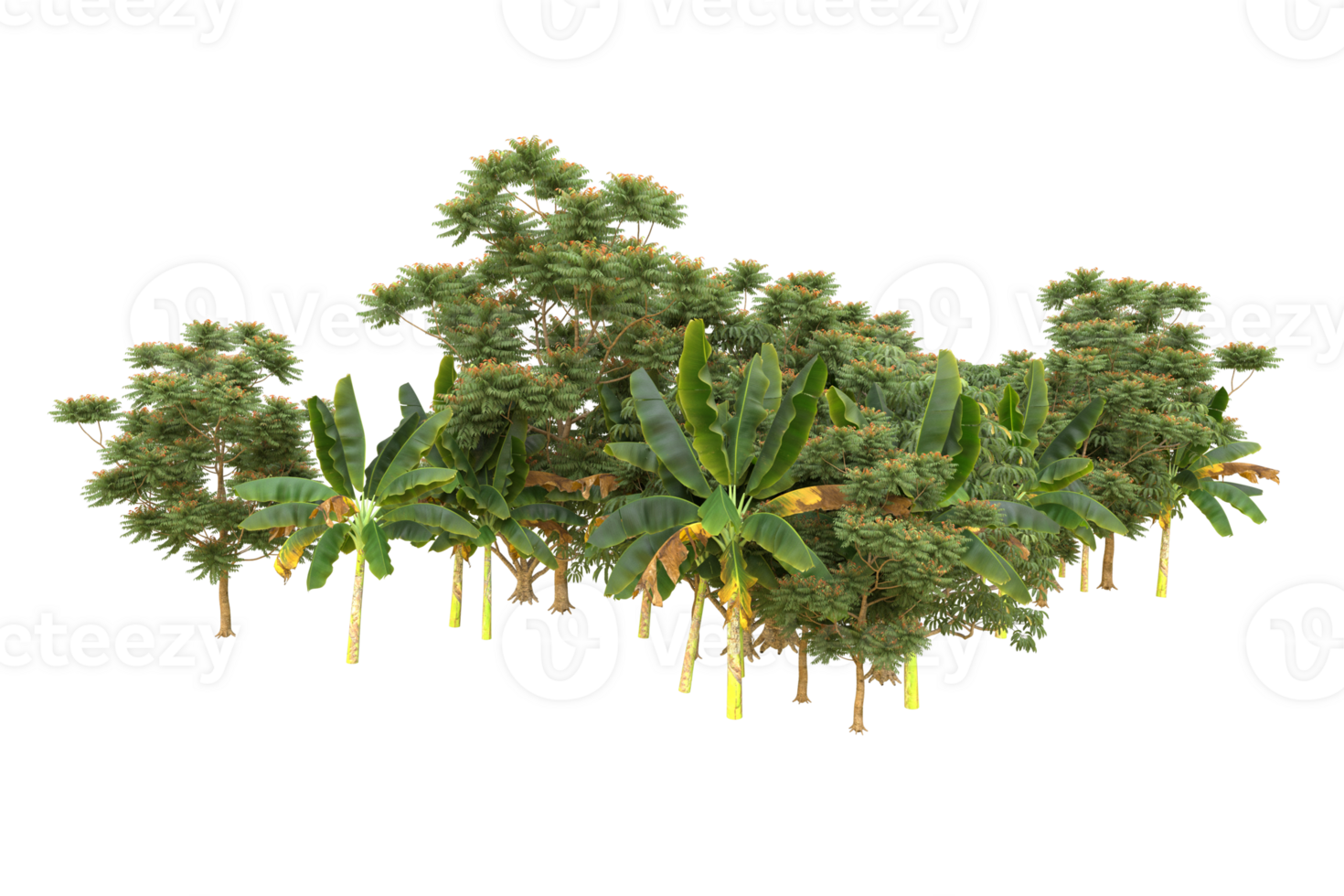 Realistic forest isolated on transparent background. 3d rendering - illustration png
