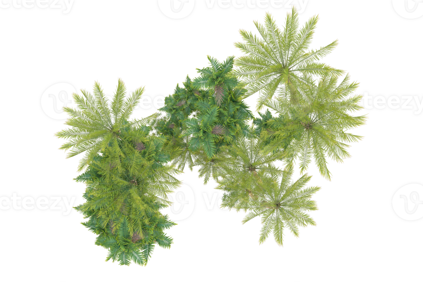 Realistic forest isolated on transparent background. 3d rendering - illustration png