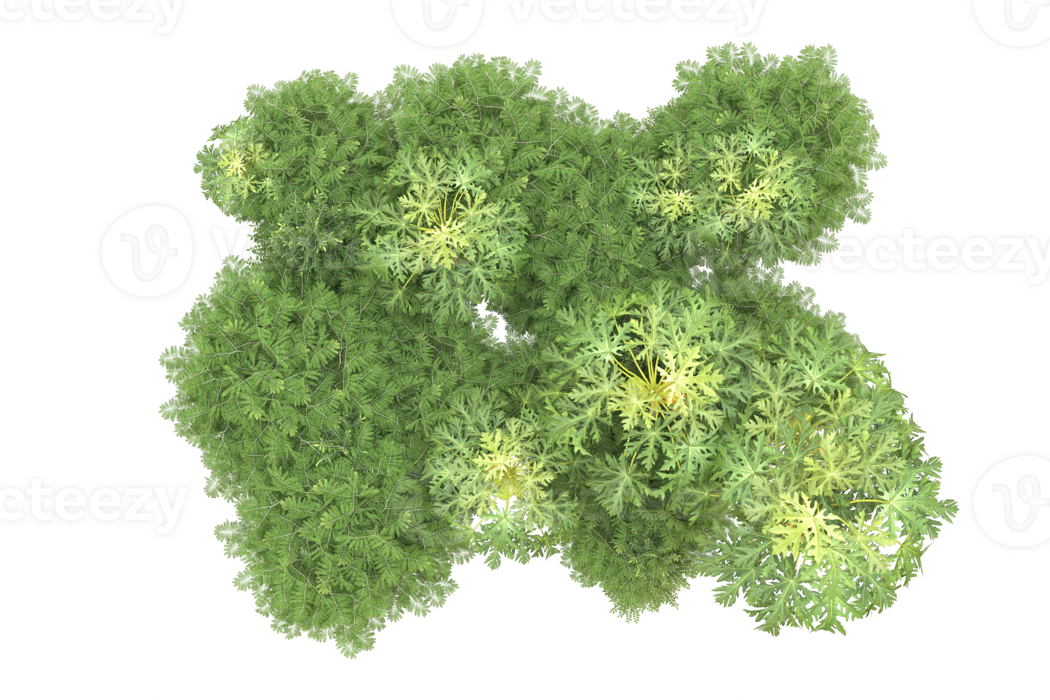 Realistic forest isolated on transparent background. 3d rendering - illustration png