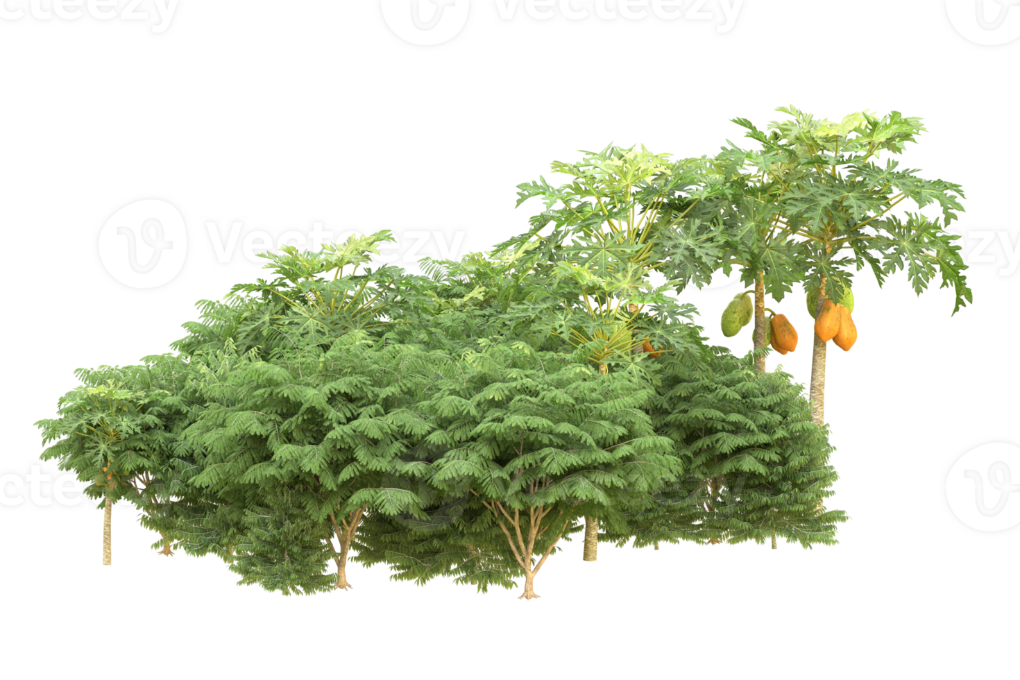 Realistic forest isolated on transparent background. 3d rendering - illustration png