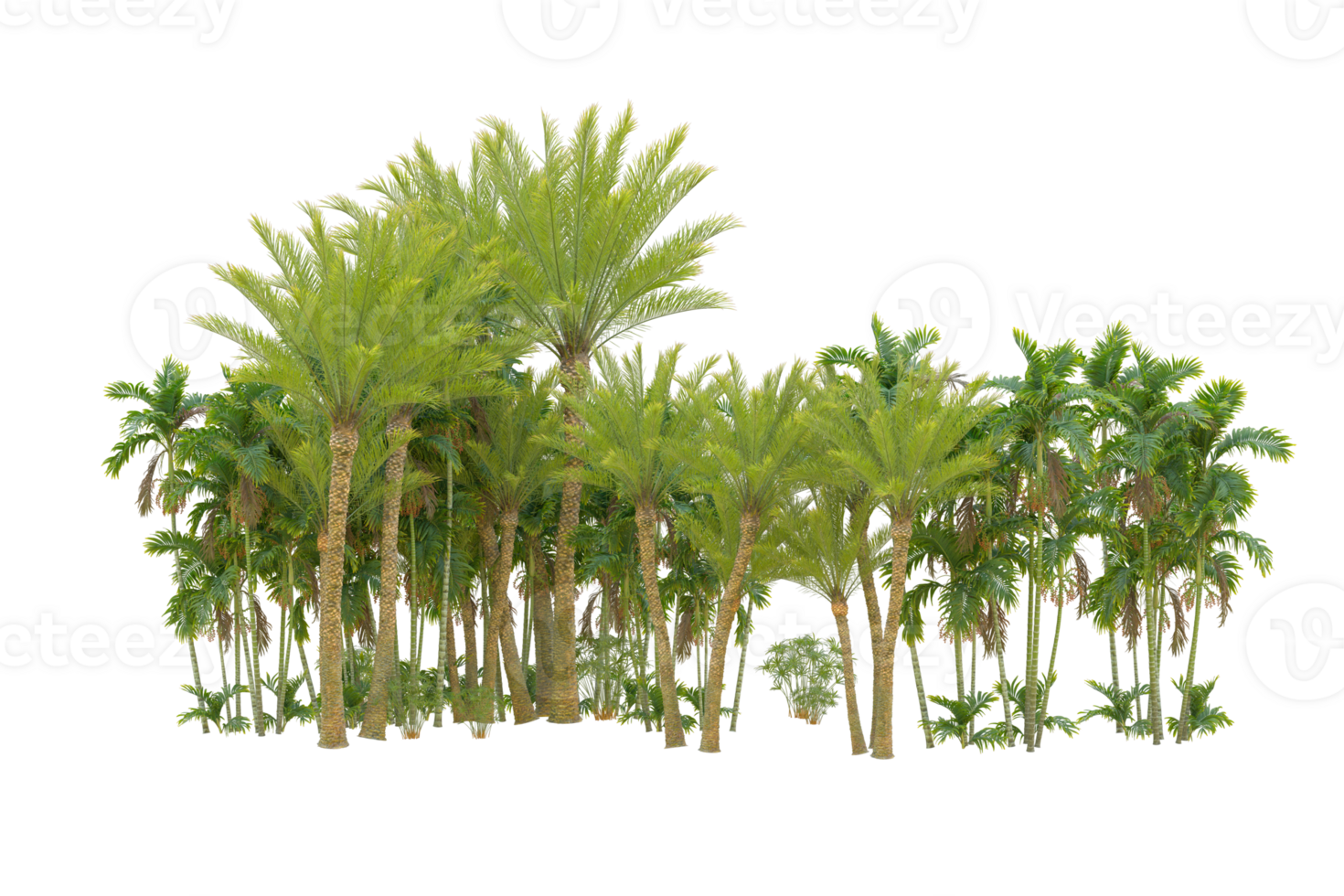 Realistic forest isolated on transparent background. 3d rendering - illustration png