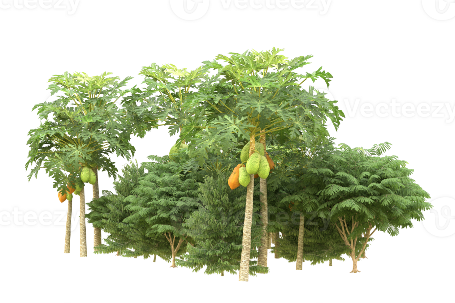 Realistic forest isolated on transparent background. 3d rendering - illustration png