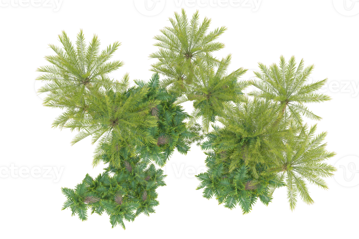 Realistic forest isolated on transparent background. 3d rendering - illustration png