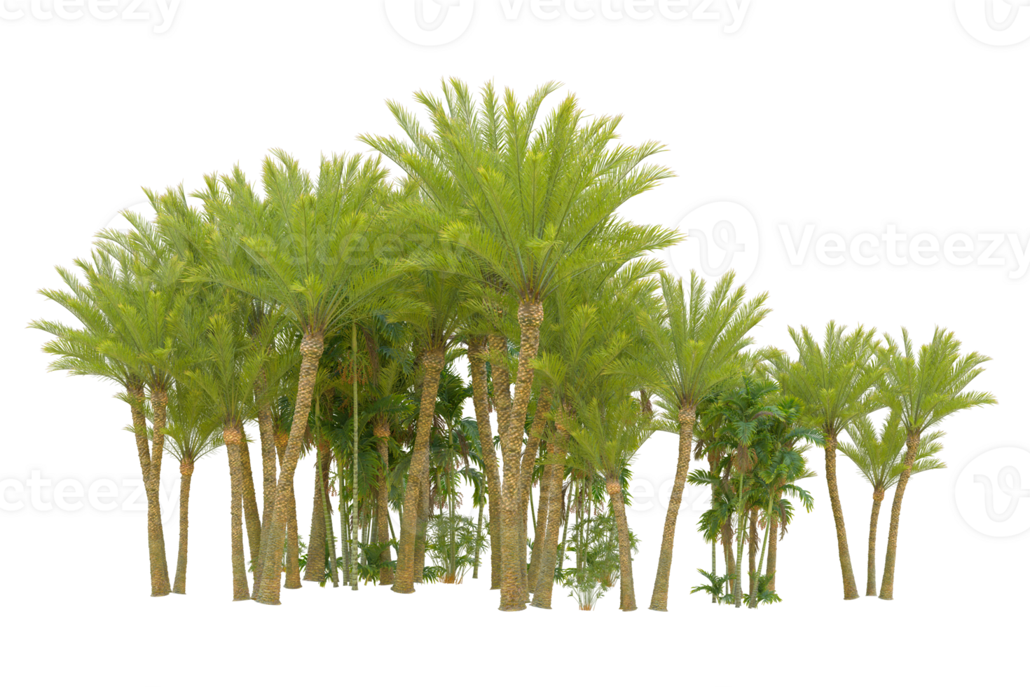 Realistic forest isolated on transparent background. 3d rendering - illustration png