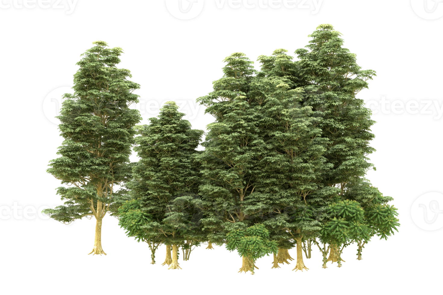 Realistic forest isolated on transparent background. 3d rendering - illustration png