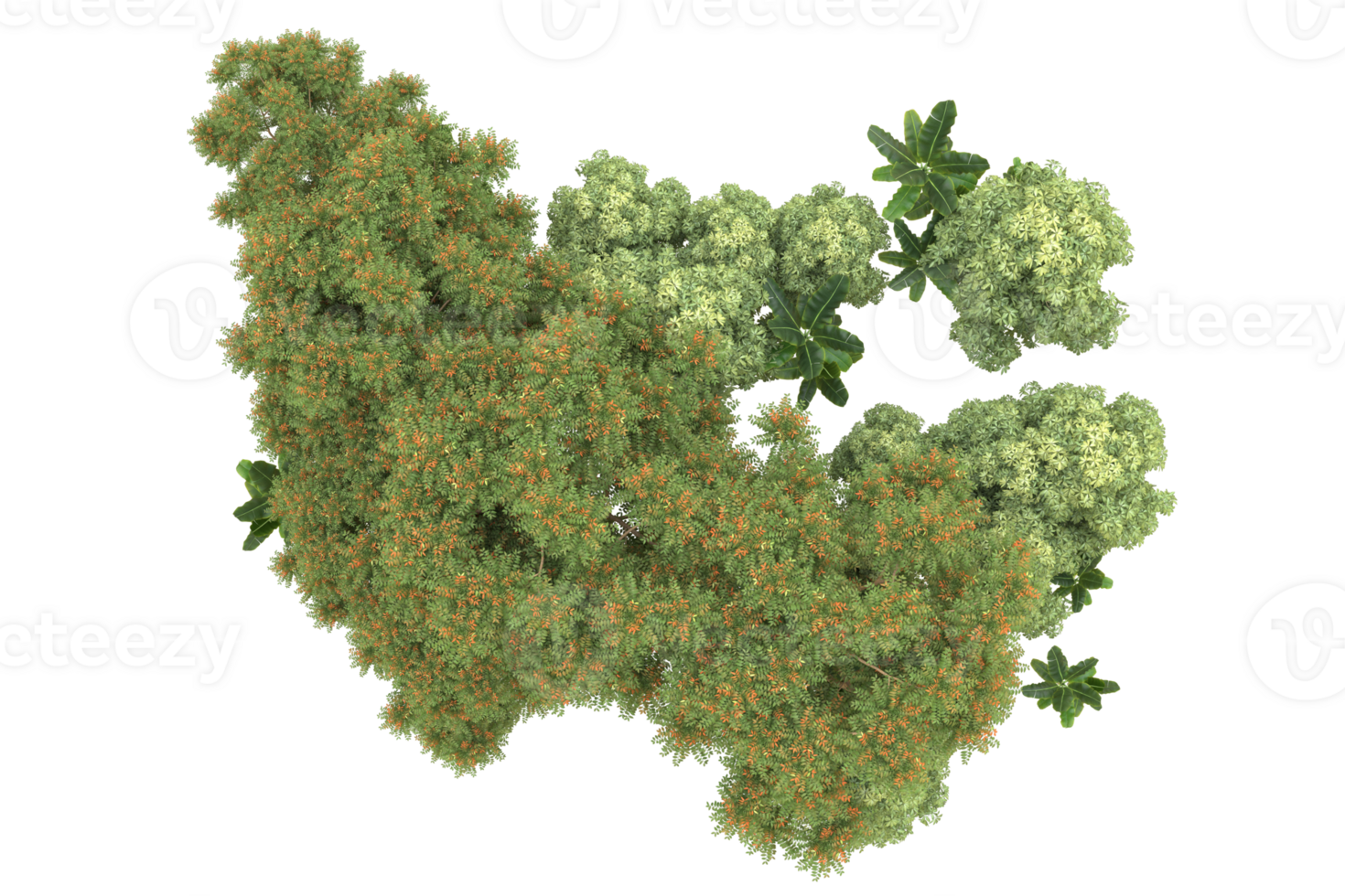 Realistic forest isolated on transparent background. 3d rendering - illustration png