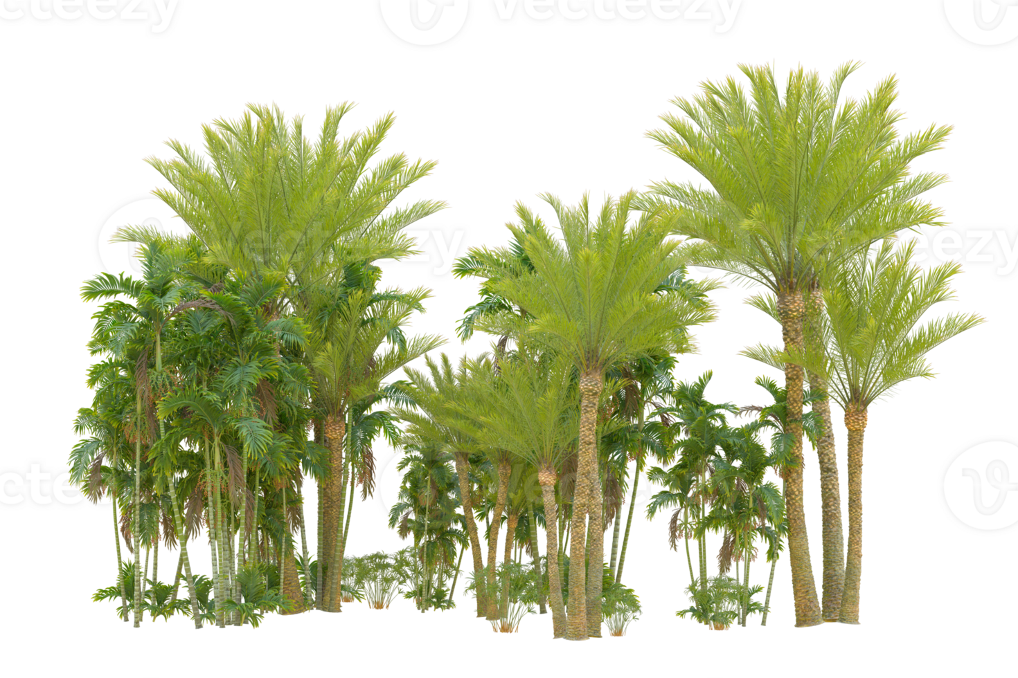 Realistic forest isolated on transparent background. 3d rendering - illustration png