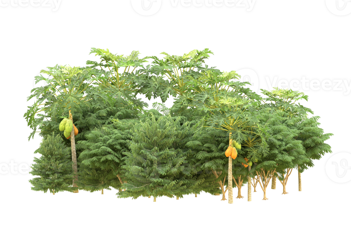 Realistic forest isolated on transparent background. 3d rendering - illustration png