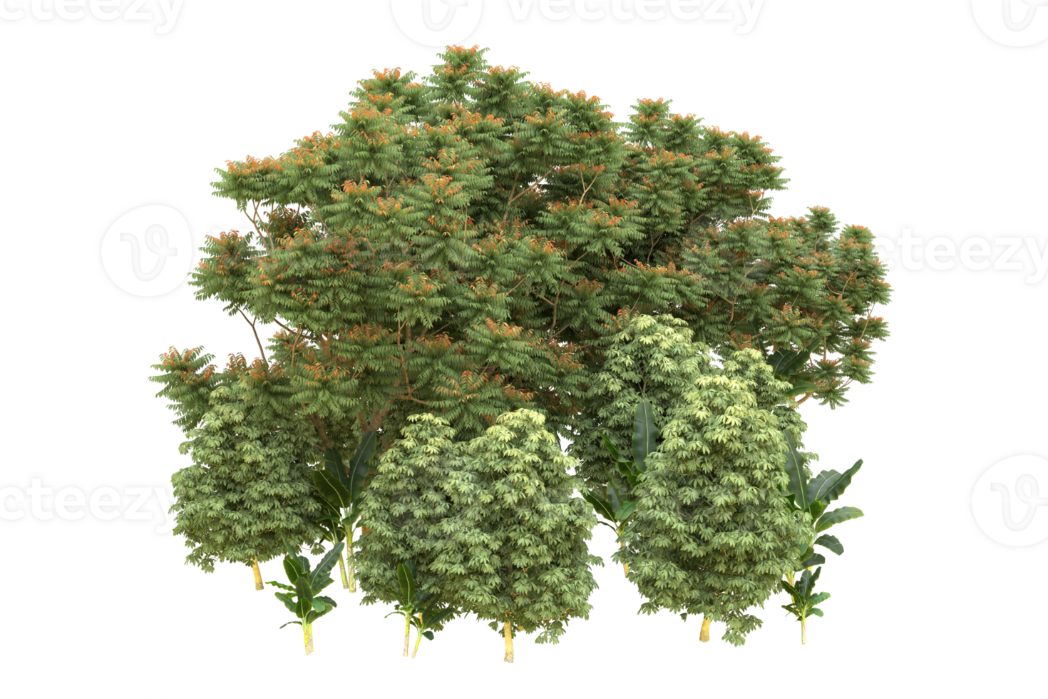 Realistic forest isolated on transparent background. 3d rendering - illustration png
