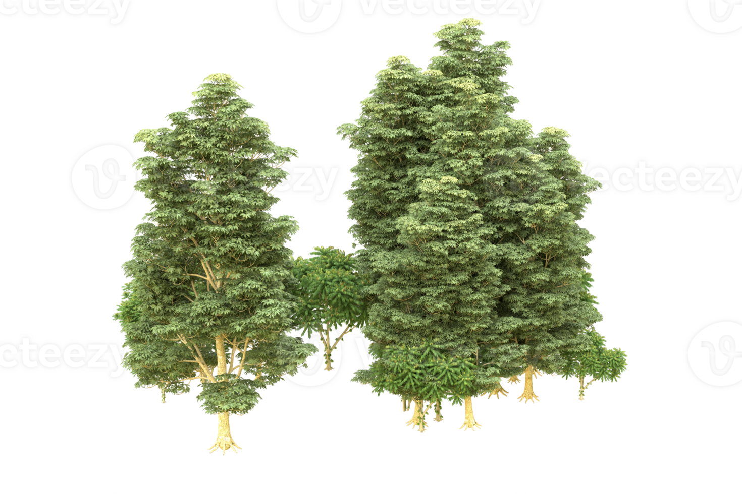 Realistic forest isolated on transparent background. 3d rendering - illustration png